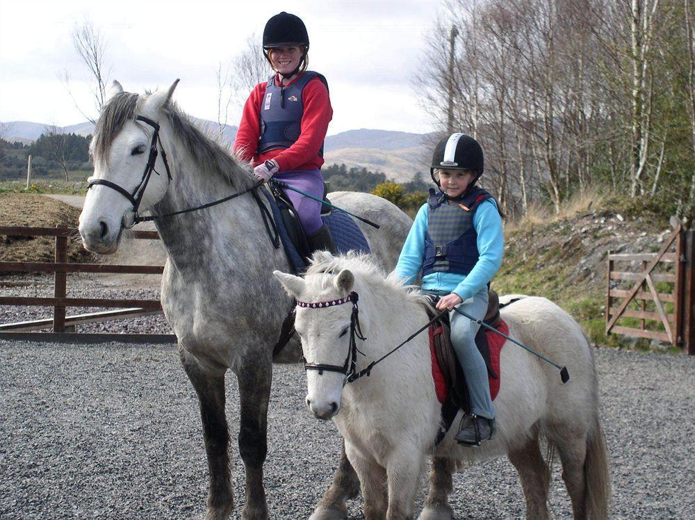 Eclipse Holiday Homes & Adventure Centre Kenmare Luaran gambar