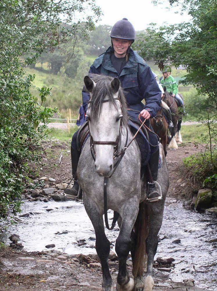 Eclipse Holiday Homes & Adventure Centre Kenmare Luaran gambar